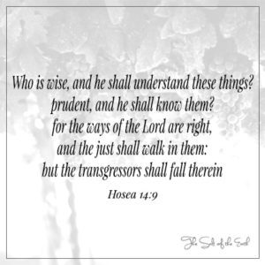 Hosea 14:9 the ways of the Lord are right the just shall walk in them