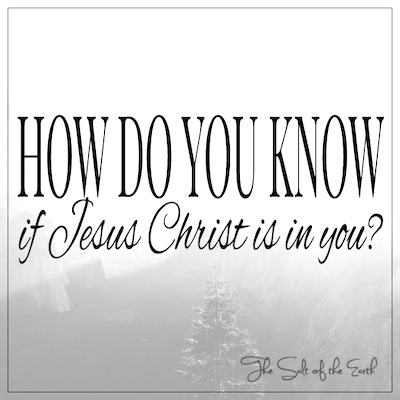 How do you know if Jesus Christ is in you?