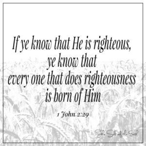 1 John 2:29 If you know that He is righteous every one that does righteousness is born of Him