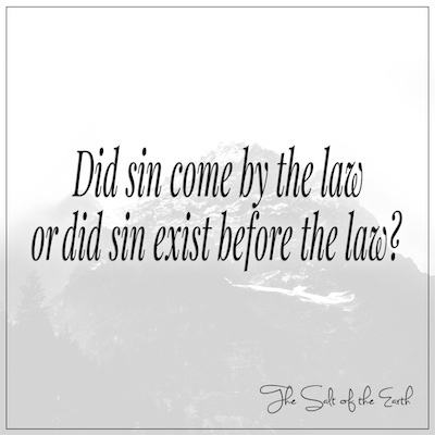 Did sin come by the law or did sin exist before the law