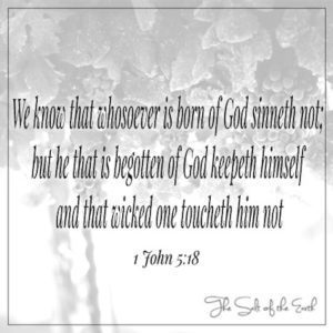 Born of God sin not