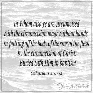 Colossians 2:11-12 In Whom you are circumcised with the circumcision made without hands