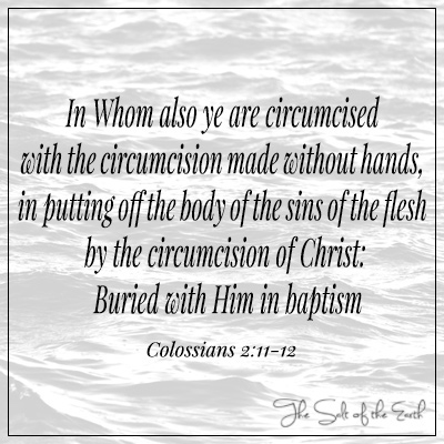 Kolosser 2:11-12 In Whom you are circumcised with the circumcision made without hands