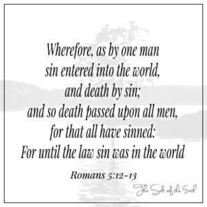 As by one man sin entered into the world and death by sin Romans 5:12-13