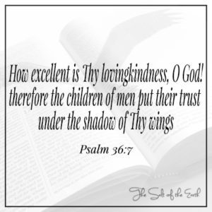 How excellent is Thy lovingkindness O God Children of men put their trust under the shadow of Thy wings Psalms 36:7