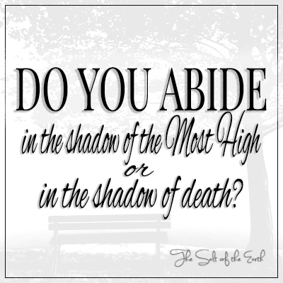 Abide in the shadow of the Most High or in the shadow of death