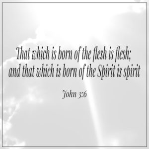 That which is born of the Spirit is spirit John 3:6