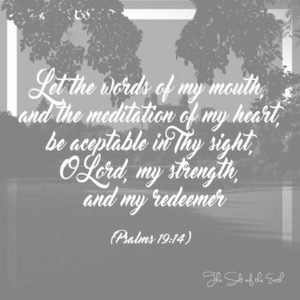 Psalm 19-14 Let the words of my mouth and the meditation of my heart be acceptable in thy sight