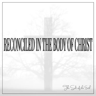Reconciled in the body of Christ