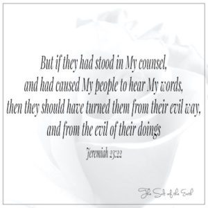 As hulle in My raad gestaan ​​het en My woorde Jeremia gehoor het 23:22