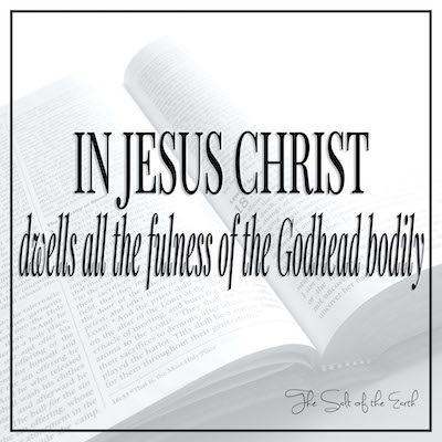 იესო ქრისტეში ცხოვრობს ღმერთის სხეულის სისრულეს