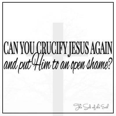 ¿Puedes crucificar a Jesús otra vez y avergonzarlo abiertamente?