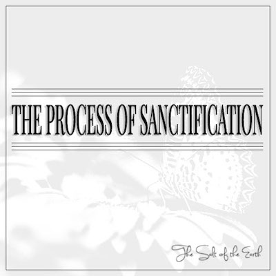 Process of sanctification