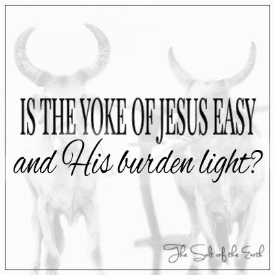 ¿Es fácil el yugo de Jesús y ligera su carga??