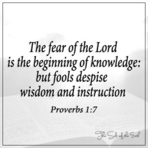Fear of the Lord is the beginning of knowledge Proverbs 1:7