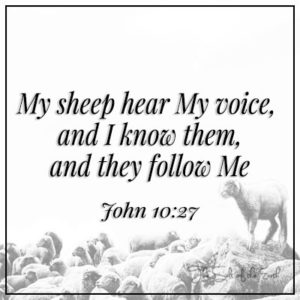 My sheep hear My voice and I know them and they follow Me John 10:27