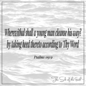 Wherewith shall a young man cleanse his way Psalm 119:9