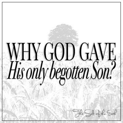Why God gave His only begotten Son John 3:16
