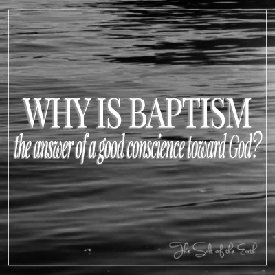 Why is baptism the answer of a good conscience toward God?
