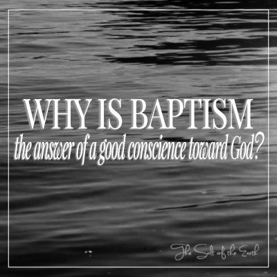बपतिस्मा भगवान के प्रति एक अच्छे विवेक का जवाब क्यों है?
