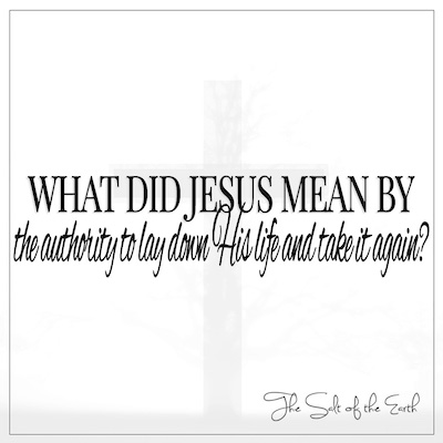 What did Jesus mean power to lay down His life and take it again John 10:18