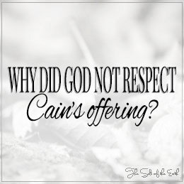 Perché Dio non ha rispettato l'offerta di Caino??