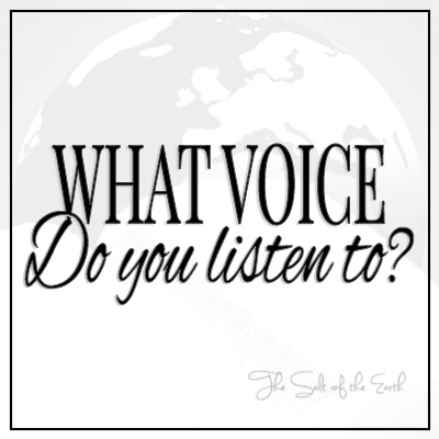 Какой голос ты слушаешь?