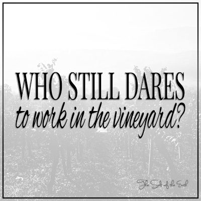 Osafisa ukusebenza esivinini?