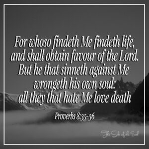 Кто меня находит, Пословицы 8:35-36