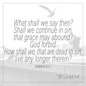 Shall we continue in sin that grace may abound Romans 6:1-2