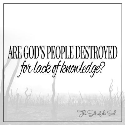 Are God's people destroyed for lack of knowledge? Hosea 4:6