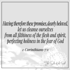 Let us cleans ourselves from all filthiness of the flesh and spirit perfecting holiness 2 korinttilaisille 7:1