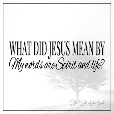What did Jesus mean by My words are Spirit and life? Joan 6:63