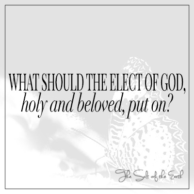 What should the elect of God holy and beloved put on Colossians 3:12