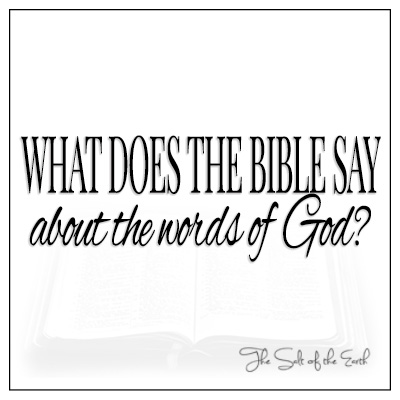 What does the Bible say about the words of God?