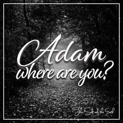 Adam where are you