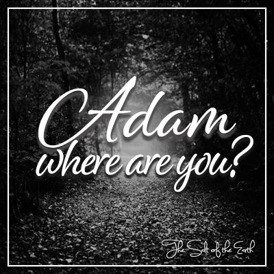 Адам, где ты?