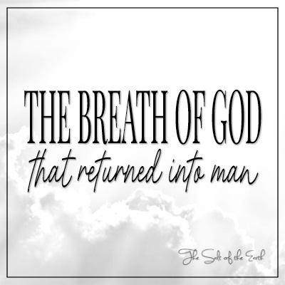 The breath of God that returned into man