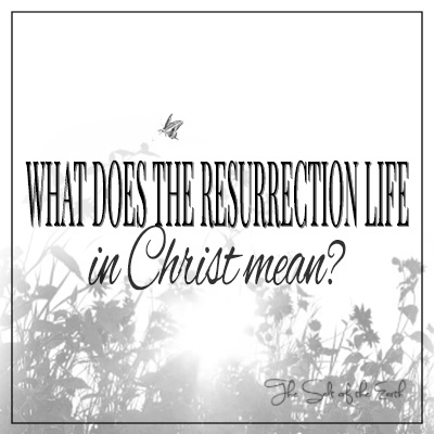 What does the resurrection life in Christ mean