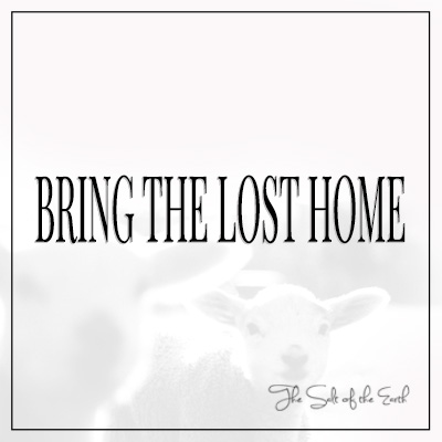 Bring the lost home
