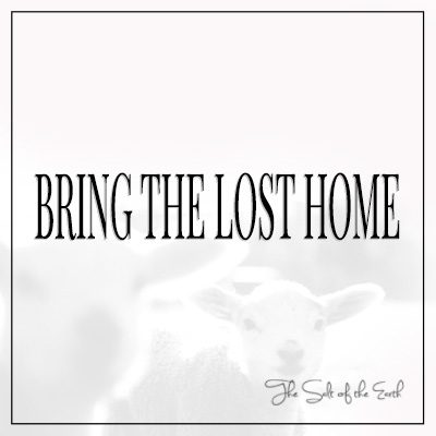 Верните потерянное домой