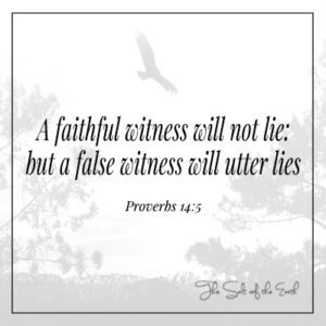 Verný svedok nebude klamať, ale falošný svedok vysloví nepravdivé príslovia 14:5