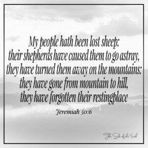 My people hath been lost sheep shepherds have caused them to go astray Jeremiah 50:6