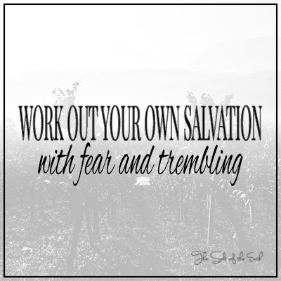 Work out your own salvation with fear and trembling philippians 2:12