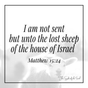I am sent to the lost sheep of the house of Israel Matthew 15:24