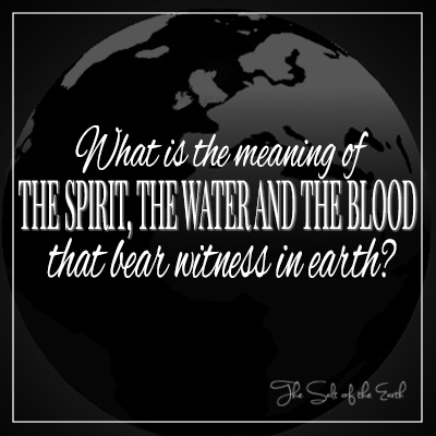 Meaning Spirit water and blood that bear witness on earth 1 남자 5:6