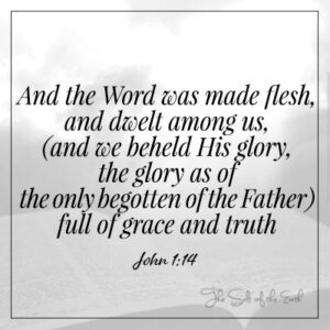 Joan 1:17 The Word was made flesh and dwelt among us, full of grace and truth