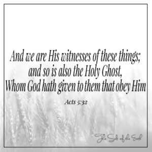 Acts 5-32 we are His witnesses of these things and so is Holy Ghost