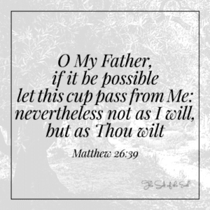 Изображение сада с библейским писанием от Матфея 26-39 Не как Я хочу, но как Ты хочешь