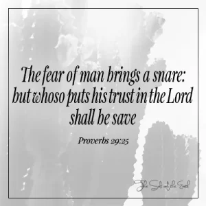 les proverbes 29-25 La peur de l'homme est un piège, mais quiconque fait confiance au Seigneur sera sauvé.